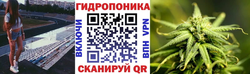 Виды наркотиков купить Шелехов Каннабис  Меф  Кокаин  АМФЕТАМИН  Гашиш  APVP 