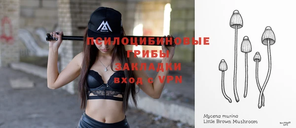 МДМА Заводоуковск