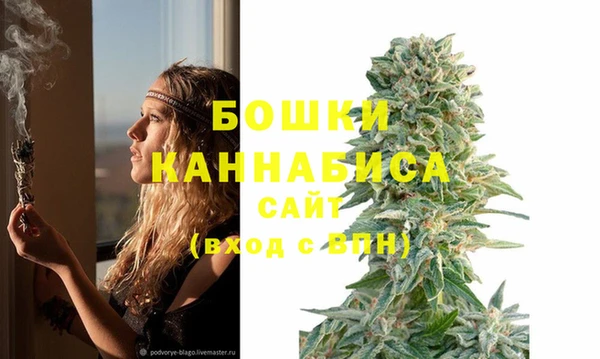 МДМА Заводоуковск