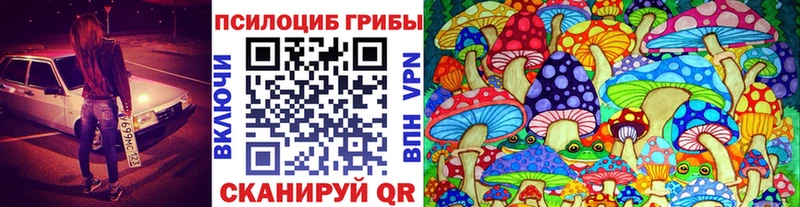 Псилоцибиновые грибы Magic Shrooms  KRAKEN ТОР  Шелехов  где купить наркотик 